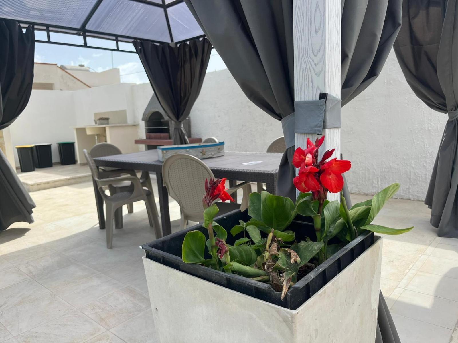 Villa Tellina Mare Luna Granelli Luaran gambar